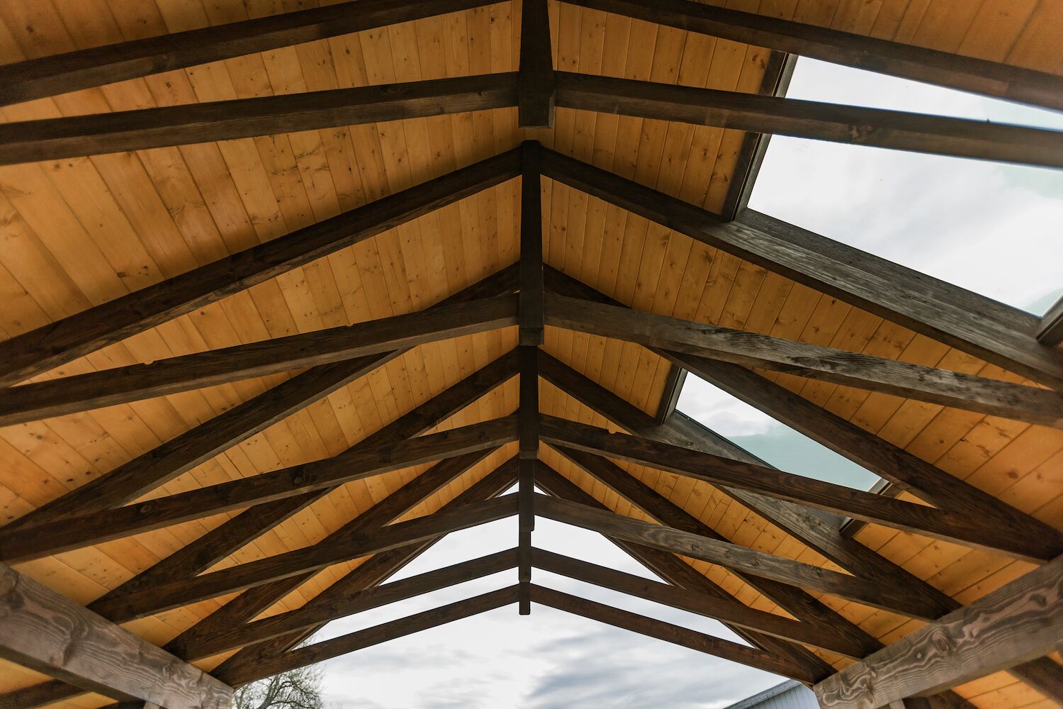 Looking up into a gabled cedar patio cover with stained heavy-timber trusses and tongue-and-groove ceiling